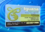 Plastic  Business Card - Frosted with Rounded Corners